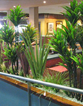 gardens